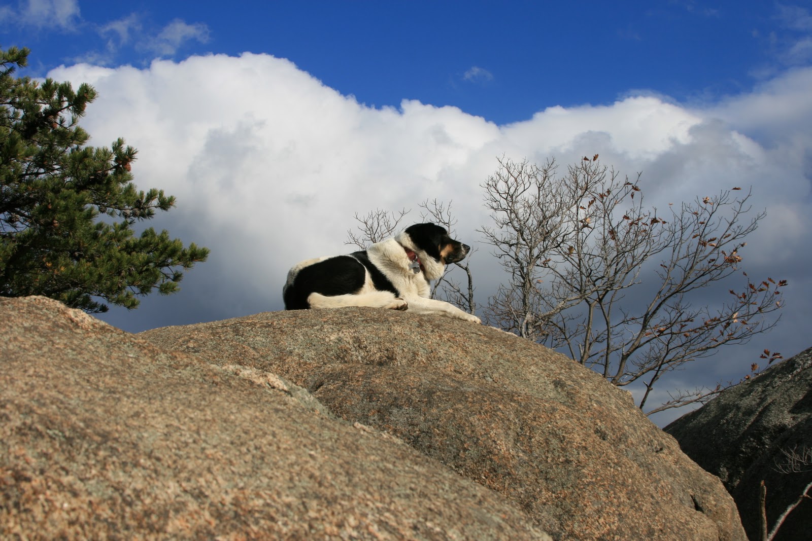 Old Rag