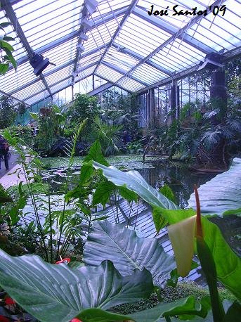 [kew_pwc_lake.jpg]