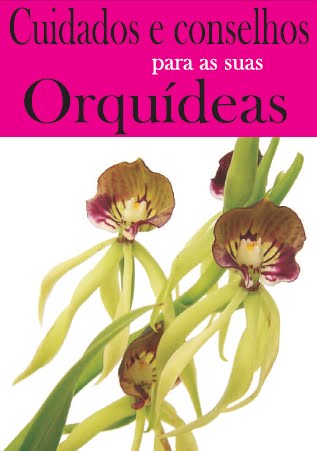 [cuidados+e+conselhos+orquideas.bmp]