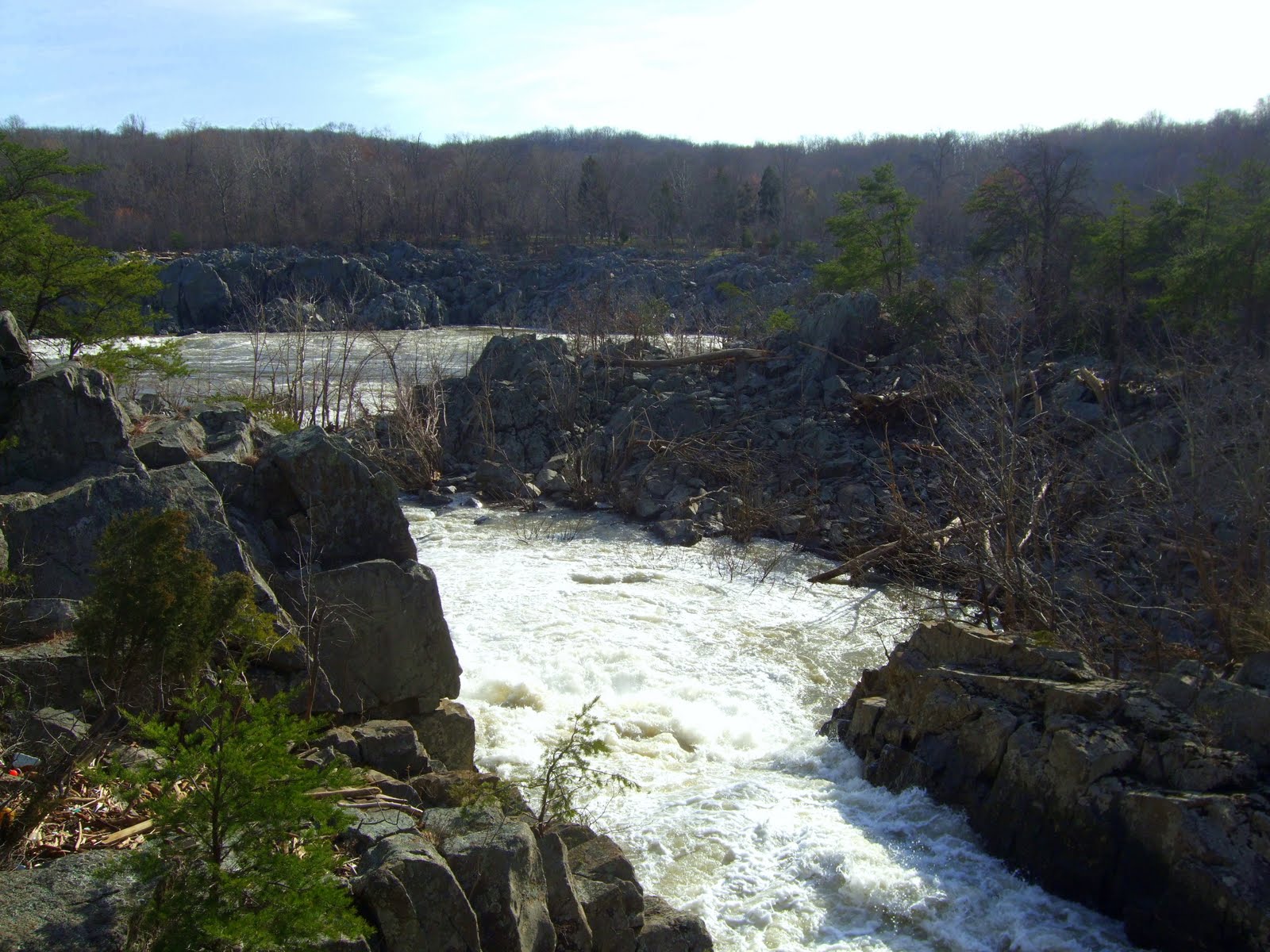 [DSCF3716.JPG]