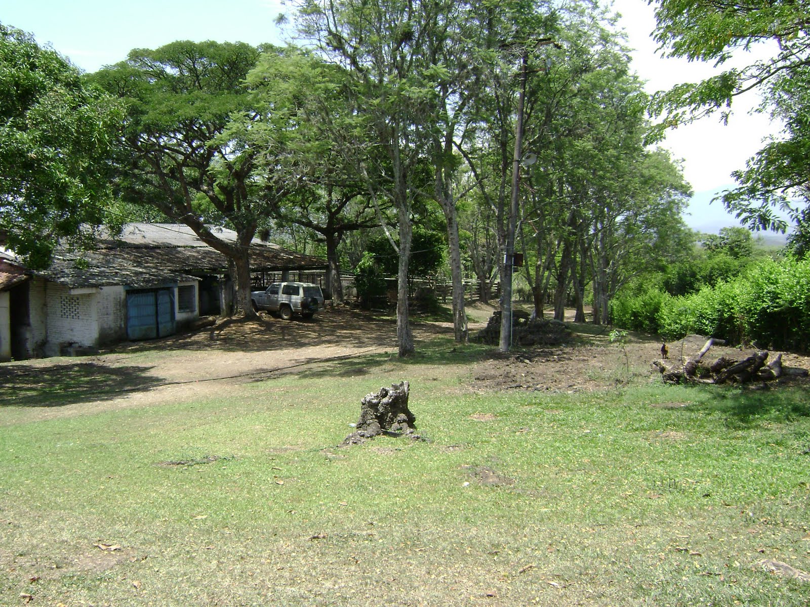 [DSC00150.JPG]