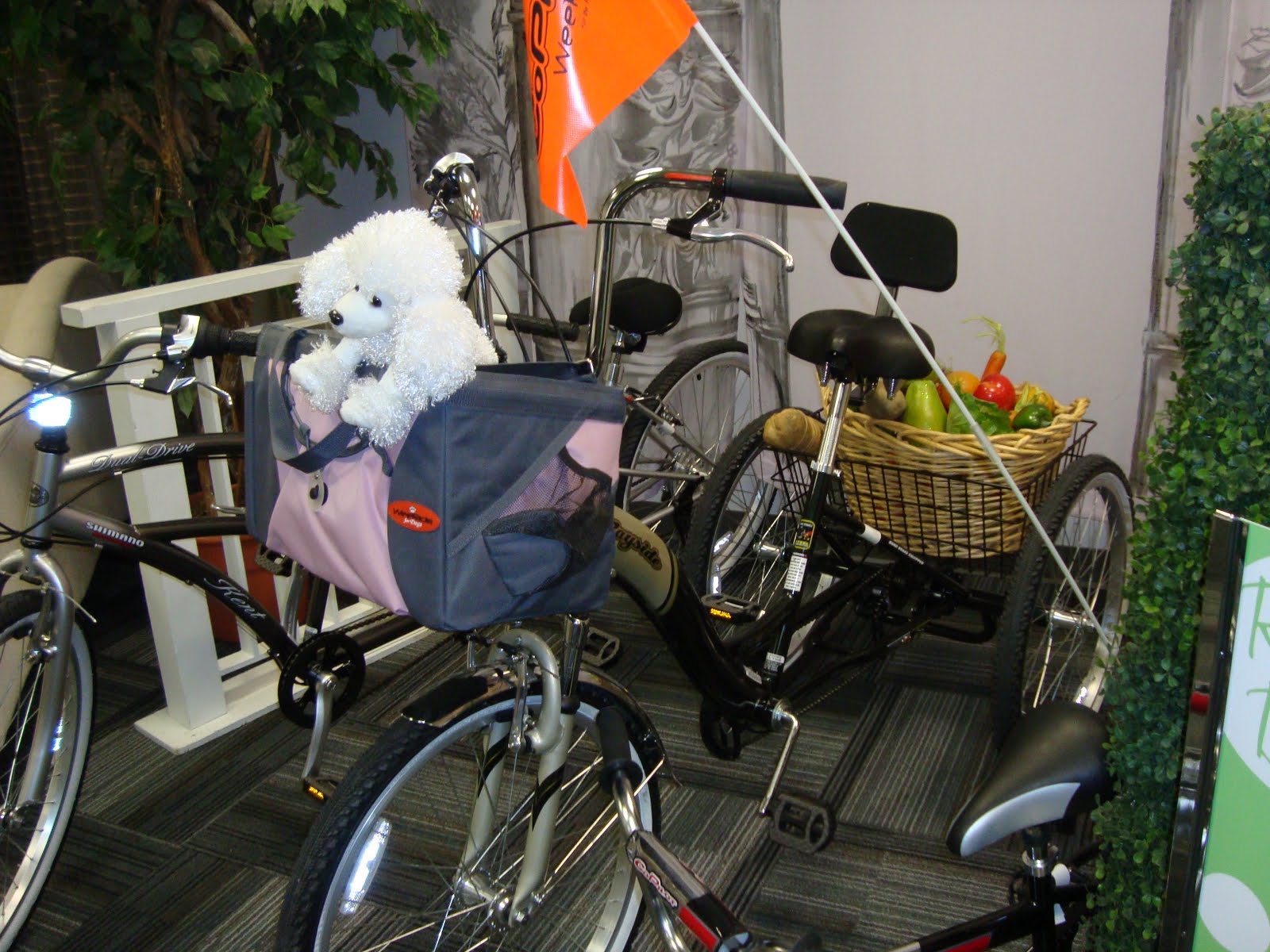[DSC00888.JPG]