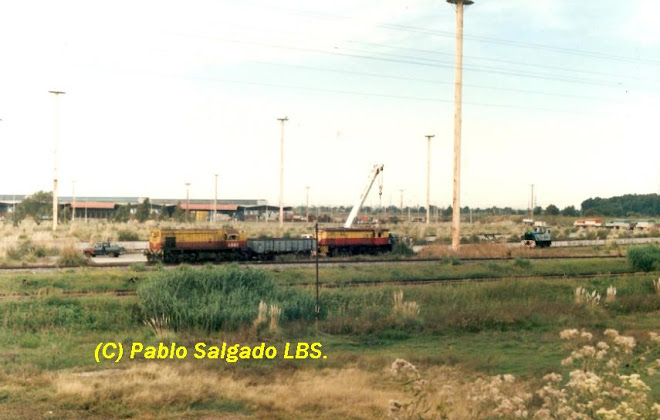 MF 624 EN EL MERCADO CENTRAL