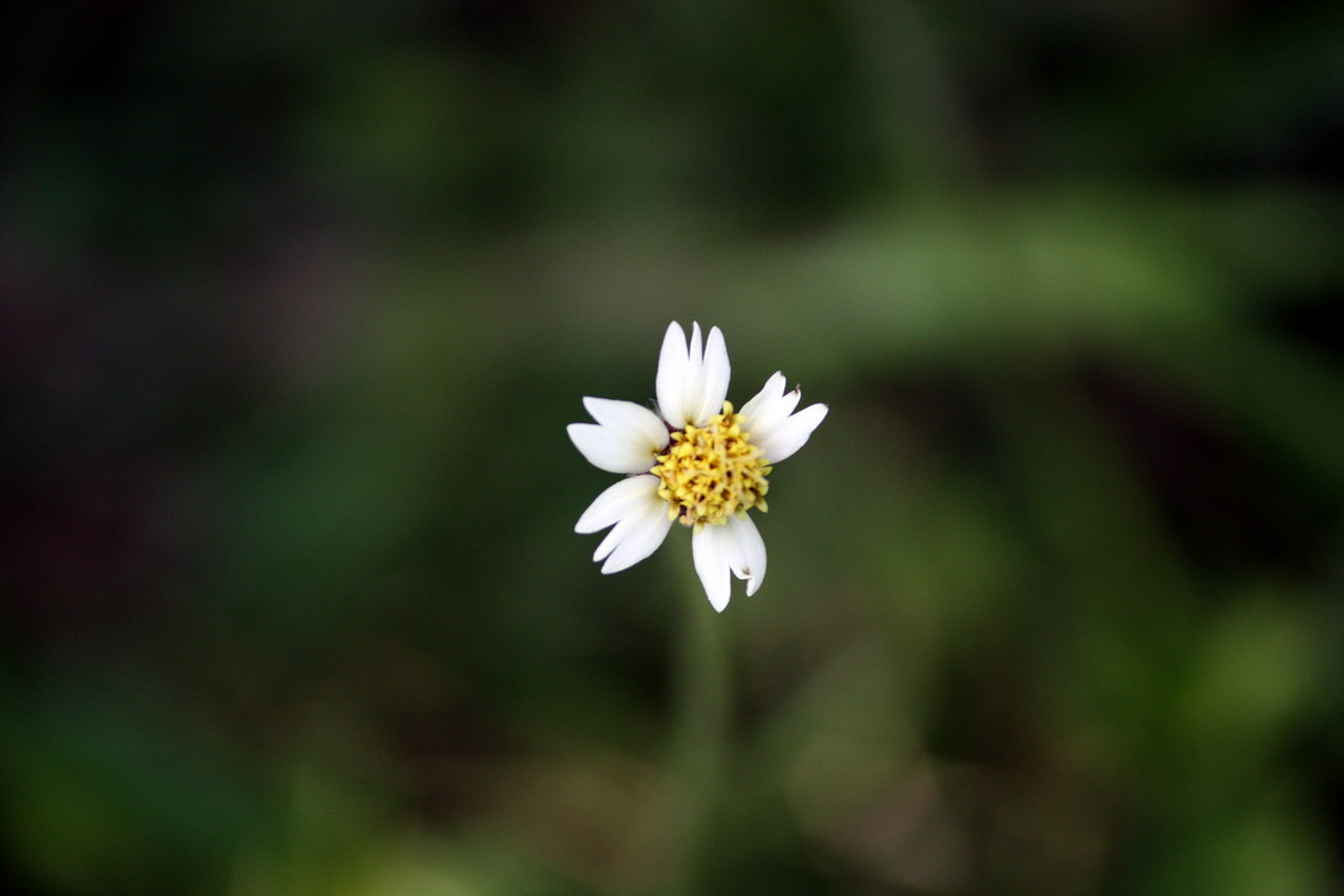 [IMG_0311_resize.JPG]