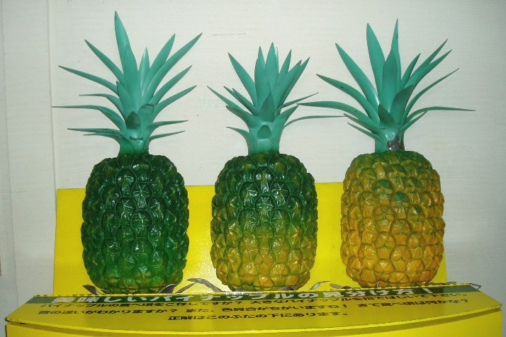 [Nago+Pineapple+Farm+5.JPG]