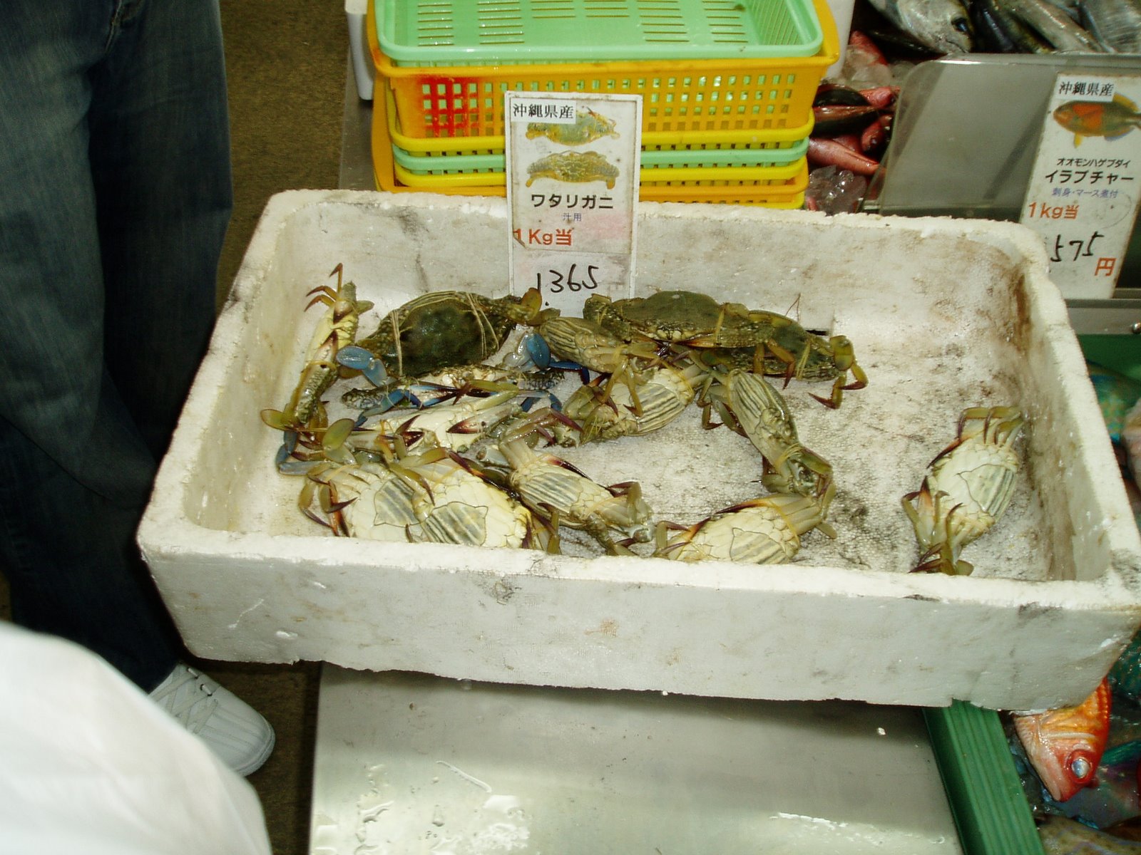 [P1170216.JPG]