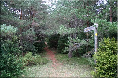 Sendero a Santa Ana