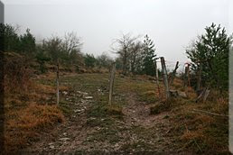 Cruzamos la alambrada