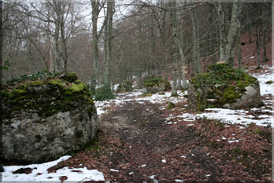 Grandes rocas jalonan nuestro camino