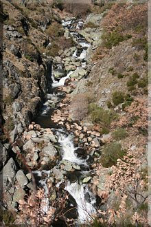 Cascadas en la Forcadura