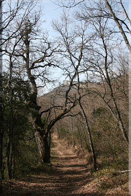 Camino a la Senda Bujanda