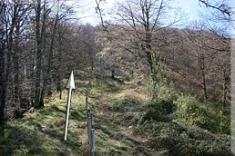Txanpa final a Urkieta