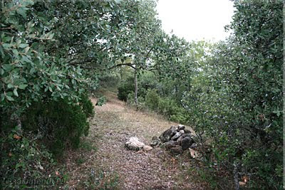 Alto de San Andrés