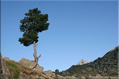 Pico sobre la roca y asoma Perdigueret