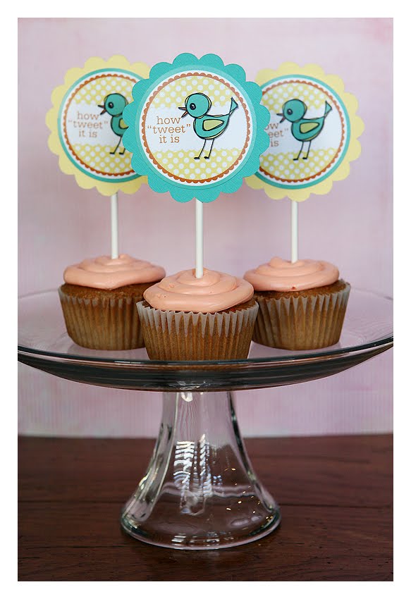 [IMG_4327_webcopy.jpg]