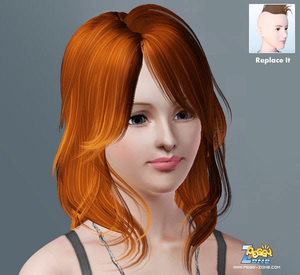 the sims 3 cc hair is too big