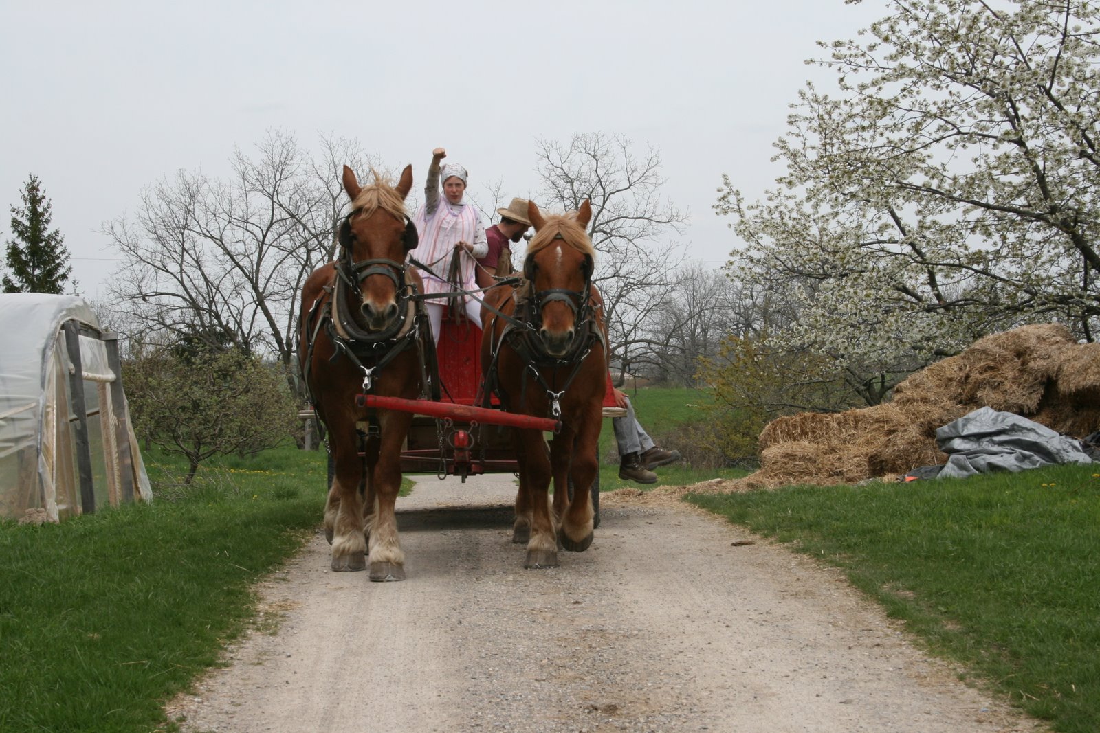 [IMG_3114.JPG]