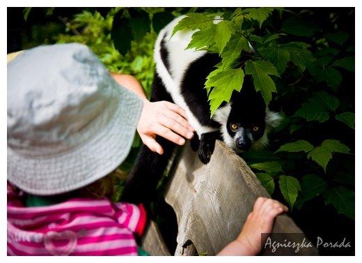 [20080522-CHR_5443.jpg]