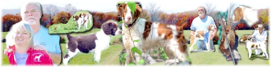 MAINE BRITTANY SITE - All things Brittany