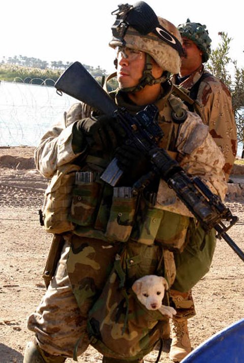 [military-humor-91.jpg]