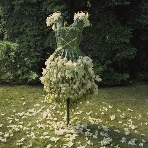 Clothing Made from Leaves! 16 Pics Curious, Funny Photos / Pictures