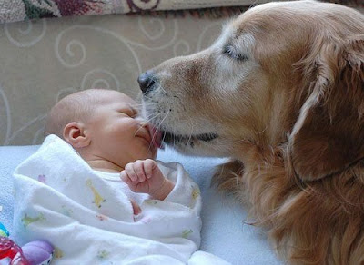 http://4.bp.blogspot.com/_IUYlNU10BMY/SmLxJrV1NdI/AAAAAAAAZQY/bATxxrUxDUU/s400/funny-kids-08.jpg