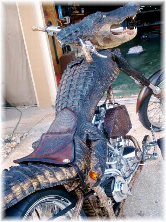 Interesting Amazing Motorbike tuning Alligator bike