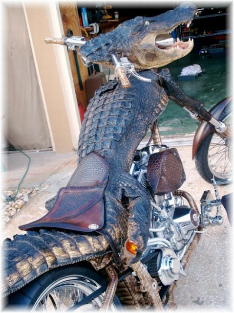 aligator bike