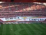 Benfica Campeão