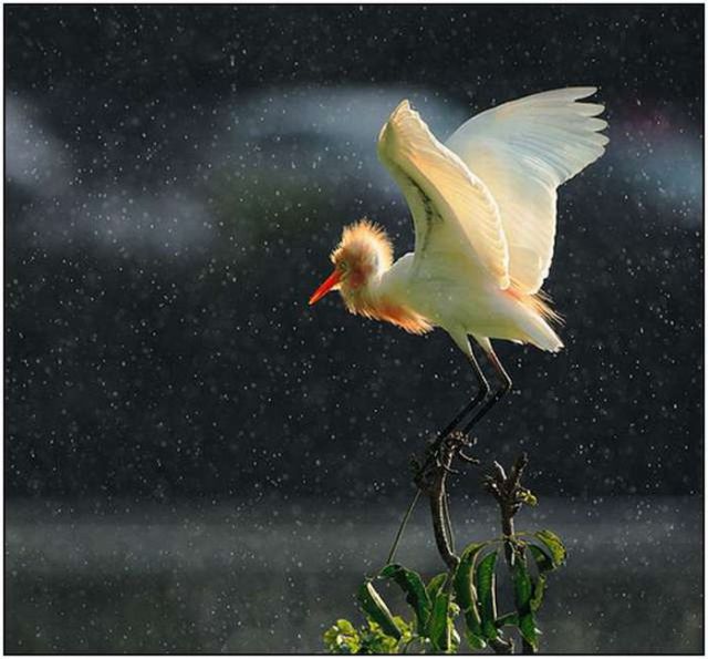 Most Beautiful Rain Photos | Golberz.Com Most Beautiful Rain Photos | Golberz.Com