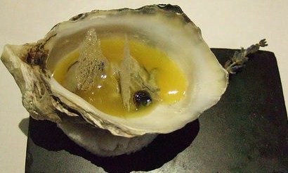 [oyster+cropped.jpg]