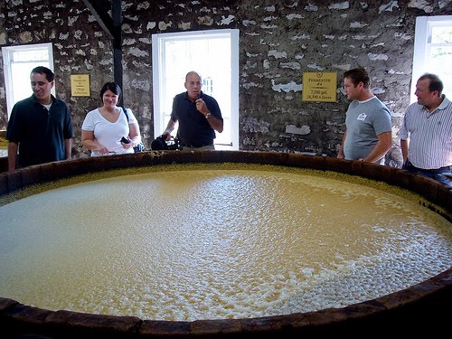 [fermentation.jpg]