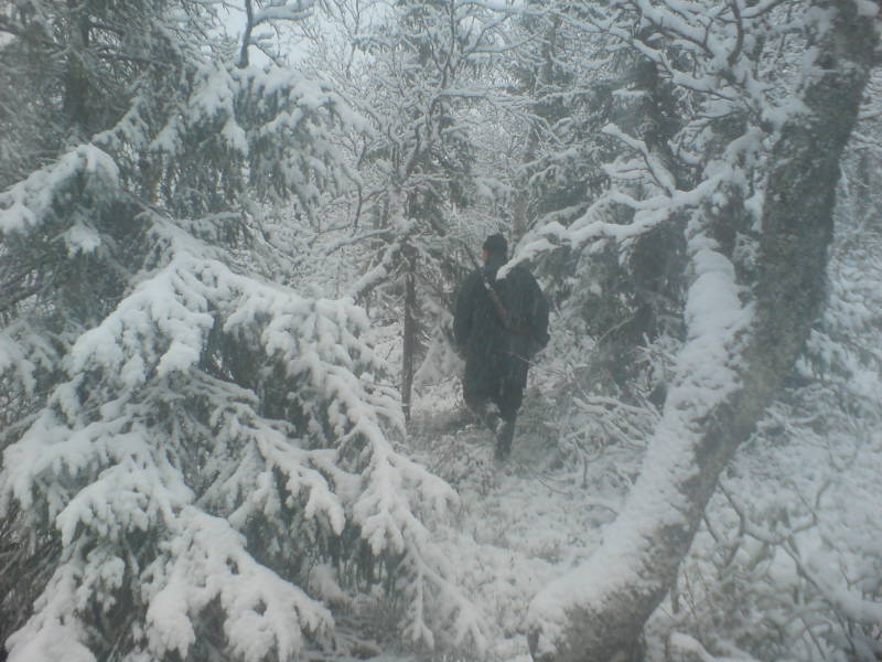 [image-upload-12-731337.jpg]