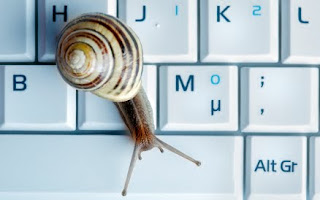 Your future on the Internet looks like this if you don't fight (Photo: iStock/mikdam) snail on a keyboard