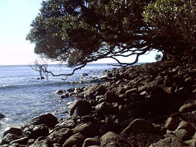 Shore Scene