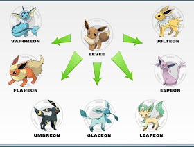 Pokemon Evolução: Evolução Eevee