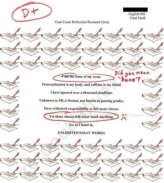 Bone thesis 03 picture