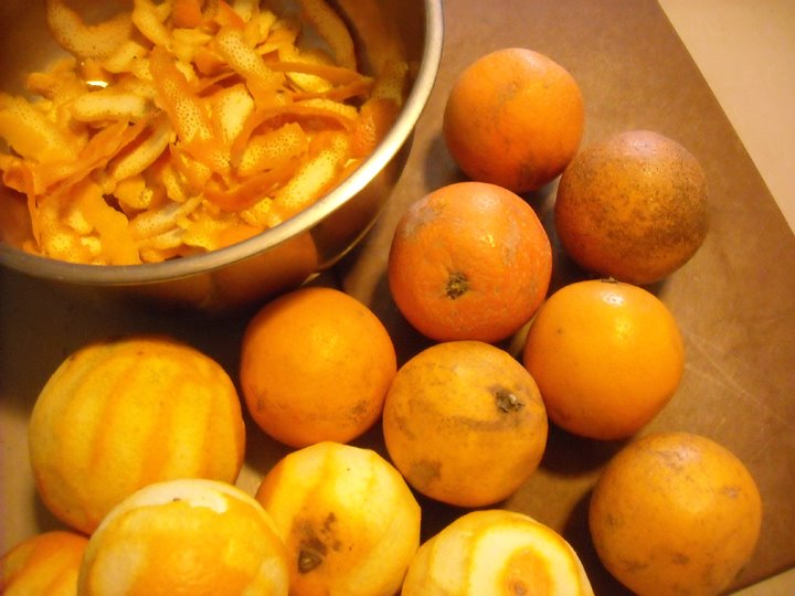 [oranges+5.JPG]