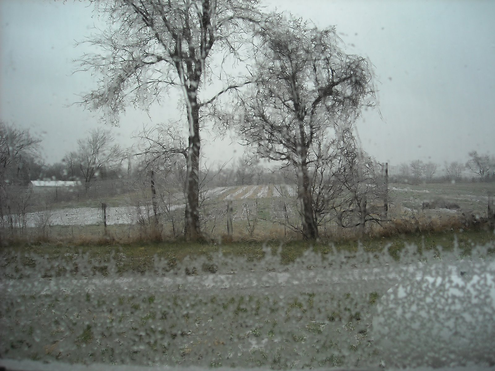 [window+view.JPG]