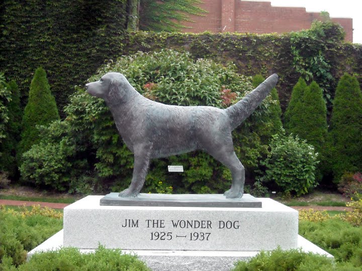 [ar+trip+jim+1.JPG]