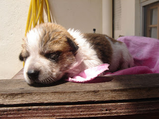Sunbathing