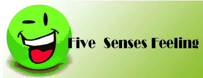 Five Senses Feeling