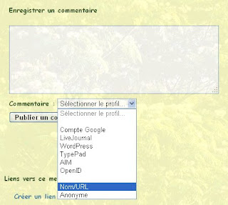 Pour poster un commentaire sous Blogger
