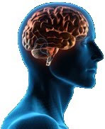 memory_brain