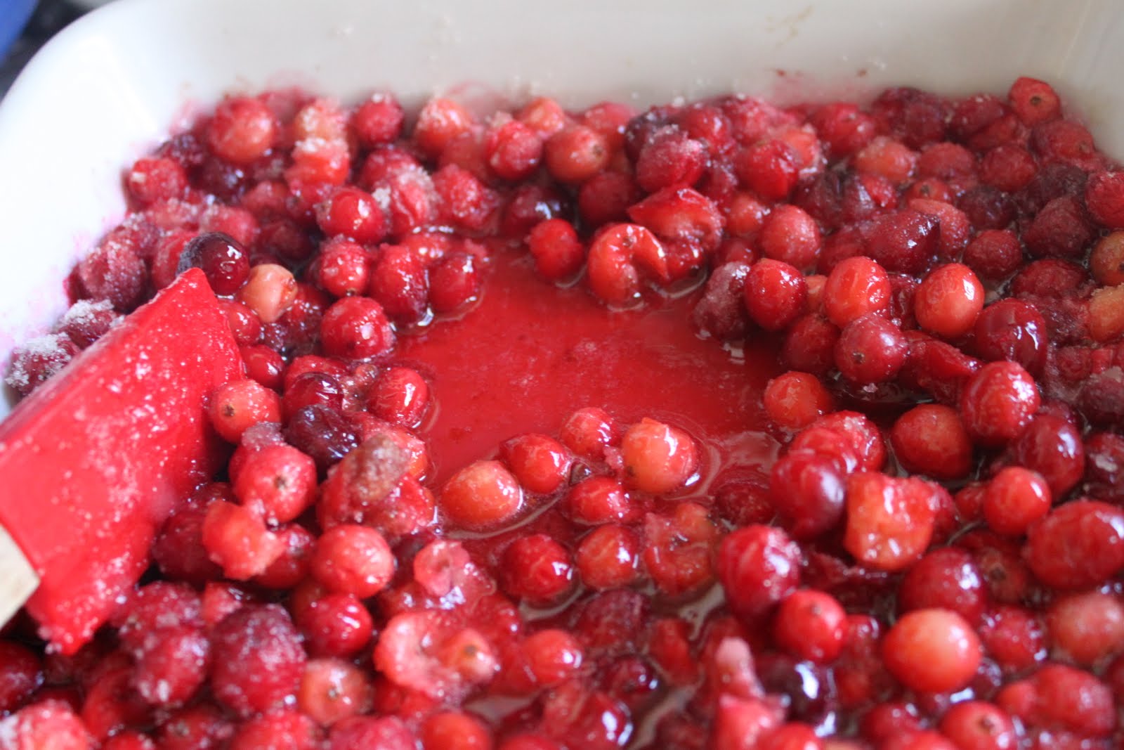 A Girl, a Market, a Meal... Cranberries in the Snow