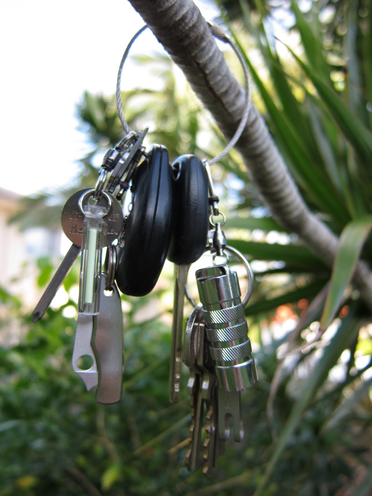 Canon s90 VS s95 Compact cameras