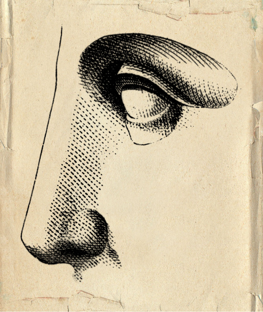 Roxana Illuminated Perfume Perfume Illuminated The Mead Moon