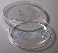 Science Class: agosto 2010