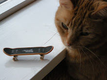 Fingerboard katt