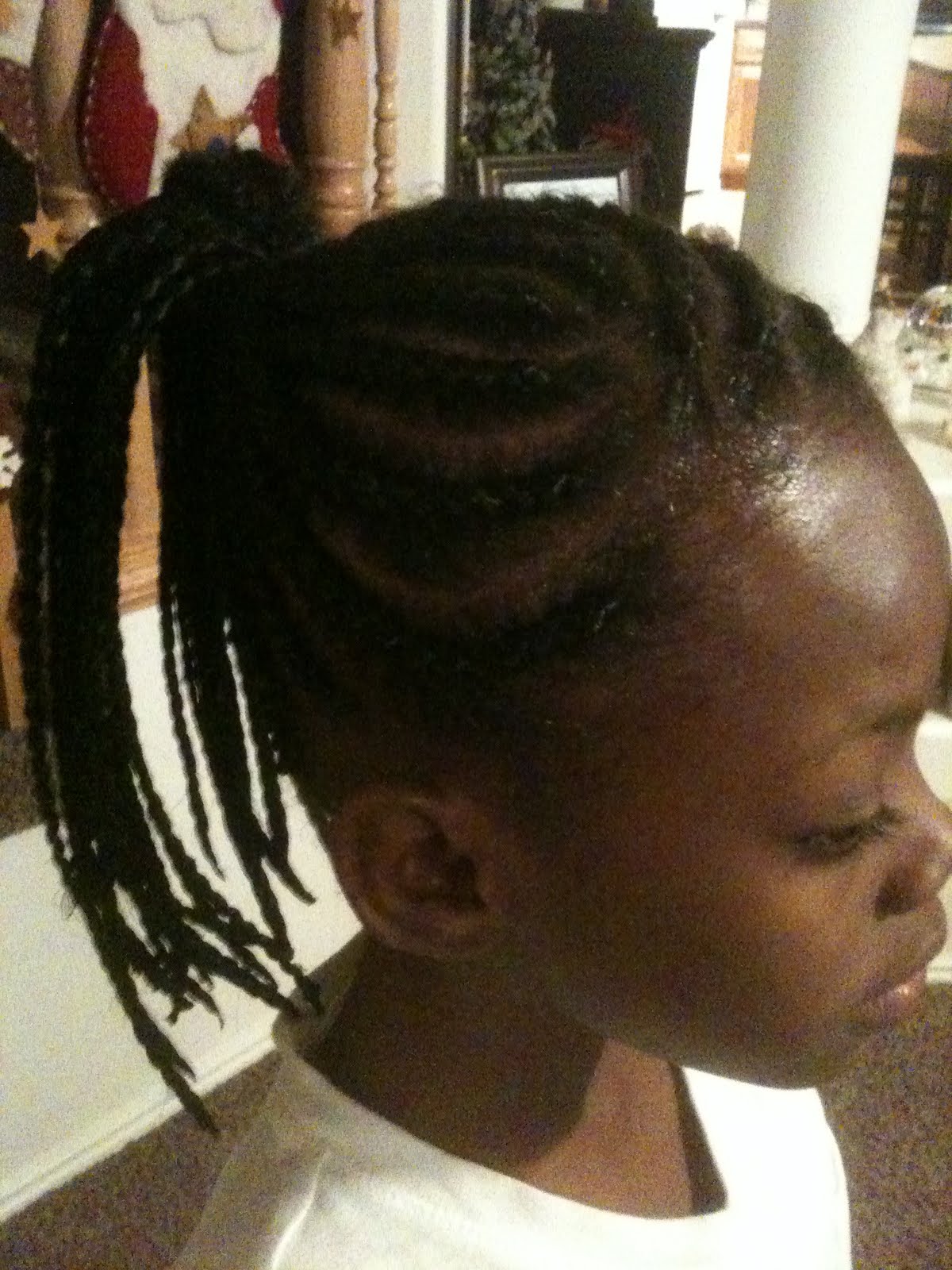 Cornrow Ponytail Braids - i5rao5d